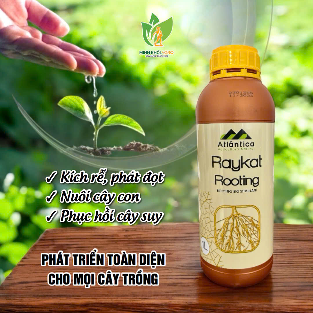 Phân bón sinh học hữu cơ Raykat Rooting (Raykat Start) - Tây Ban Nha